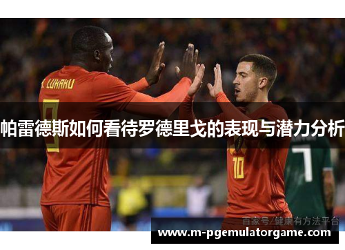 帕雷德斯如何看待罗德里戈的表现与潜力分析
