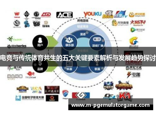 电竞与传统体育共生的五大关键要素解析与发展趋势探讨