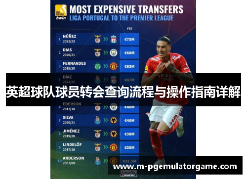 英超球队球员转会查询流程与操作指南详解