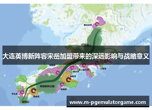 大连英博新阵容宋岳加盟带来的深远影响与战略意义