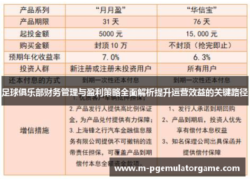 足球俱乐部财务管理与盈利策略全面解析提升运营效益的关键路径