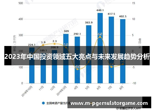 2023年中国投资领域五大亮点与未来发展趋势分析
