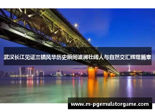 武汉长江见证三镇风华历史瞬间波澜壮阔人与自然交汇辉煌篇章