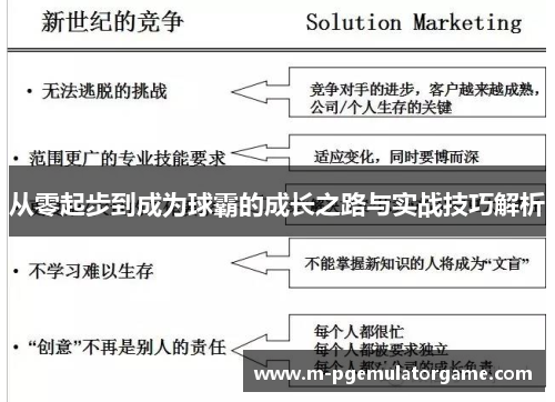 从零起步到成为球霸的成长之路与实战技巧解析