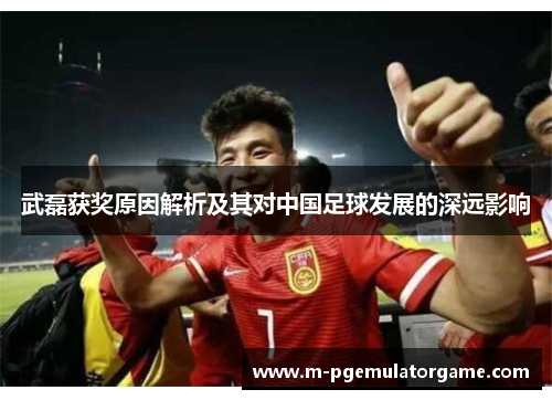 武磊获奖原因解析及其对中国足球发展的深远影响