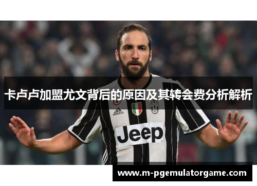卡卢卢加盟尤文背后的原因及其转会费分析解析