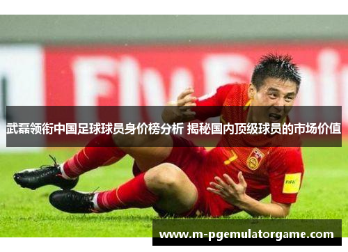 武磊领衔中国足球球员身价榜分析 揭秘国内顶级球员的市场价值
