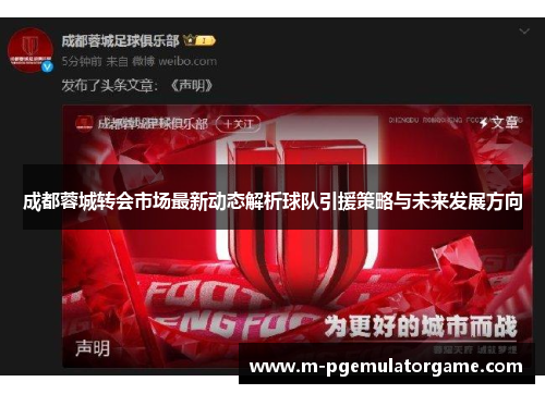 成都蓉城转会市场最新动态解析球队引援策略与未来发展方向