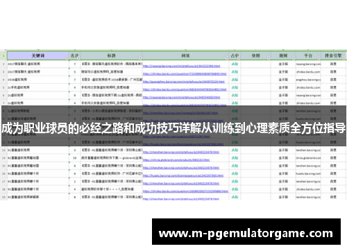 成为职业球员的必经之路和成功技巧详解从训练到心理素质全方位指导