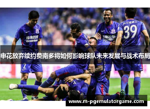 申花放弃续约费南多将如何影响球队未来发展与战术布局