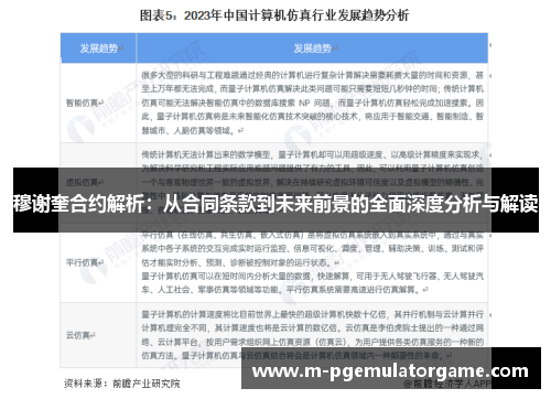 穆谢奎合约解析：从合同条款到未来前景的全面深度分析与解读