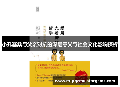 小孔塞桑与父亲对抗的深层意义与社会文化影响探析
