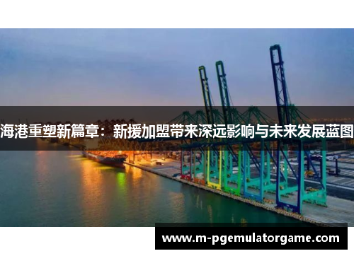 海港重塑新篇章：新援加盟带来深远影响与未来发展蓝图