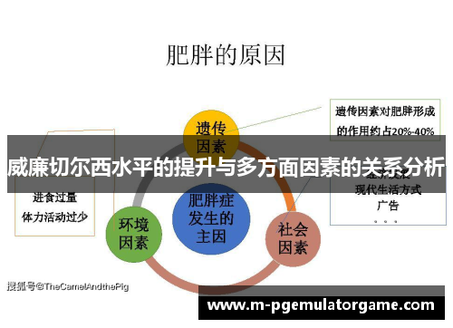 威廉切尔西水平的提升与多方面因素的关系分析