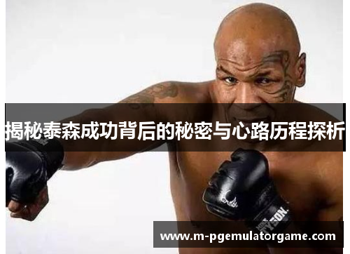揭秘泰森成功背后的秘密与心路历程探析
