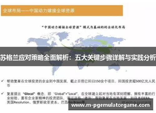 苏格兰应对策略全面解析：五大关键步骤详解与实践分析