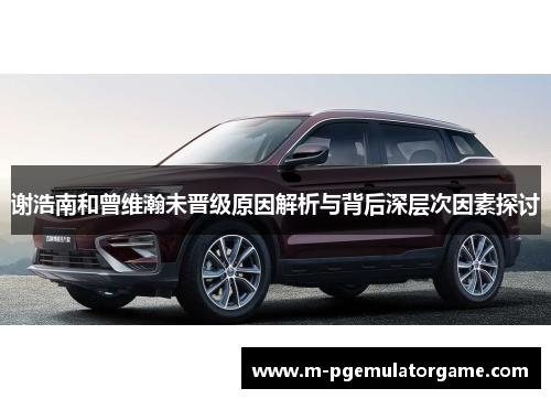 谢浩南和曾维瀚未晋级原因解析与背后深层次因素探讨