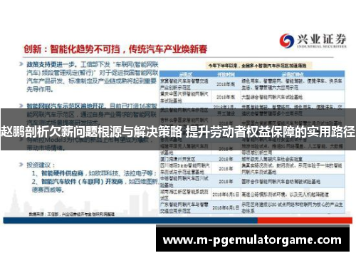 赵鹏剖析欠薪问题根源与解决策略 提升劳动者权益保障的实用路径