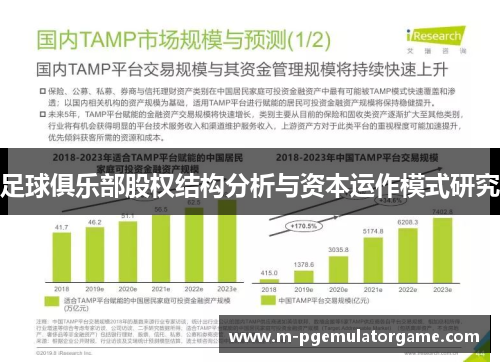 足球俱乐部股权结构分析与资本运作模式研究