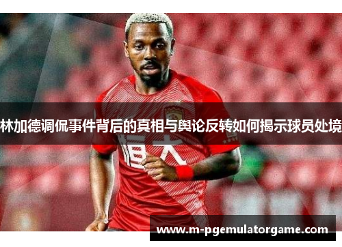 林加德调侃事件背后的真相与舆论反转如何揭示球员处境