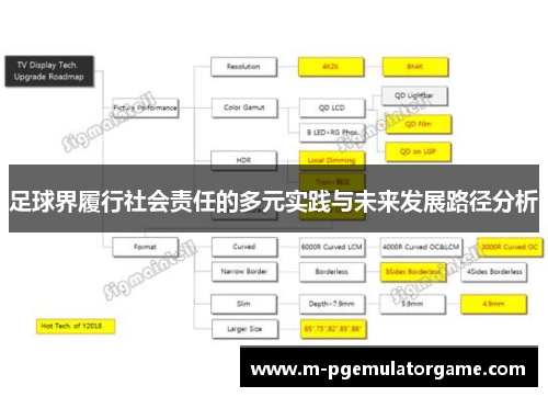 足球界履行社会责任的多元实践与未来发展路径分析 足球界履行社会责任的多元实践与未来发展路径分析