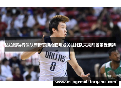 达拉斯独行侠队新援表现抢眼引发关注球队未来前景备受期待
