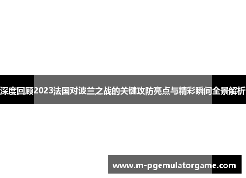深度回顾2023法国对波兰之战的关键攻防亮点与精彩瞬间全景解析 深度回顾2023法国对波兰之战的关键攻防亮点与精彩瞬间全景解析
