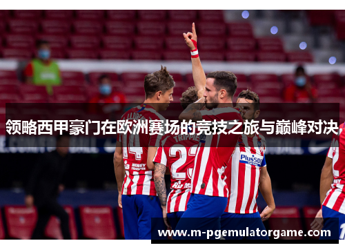 领略西甲豪门在欧洲赛场的竞技之旅与巅峰对决