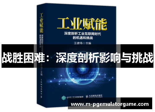 战胜困难：深度剖析影响与挑战