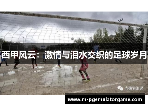 西甲风云：激情与泪水交织的足球岁月